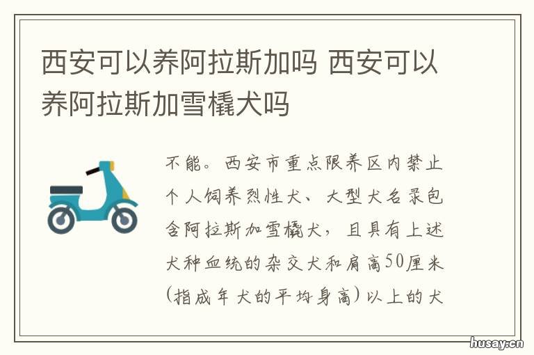 西安可以养阿拉斯加吗 千万别养阿拉斯加
