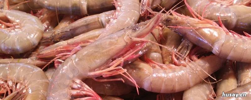 滑皮虾是什么虾 滑皮虾是什么虾做的