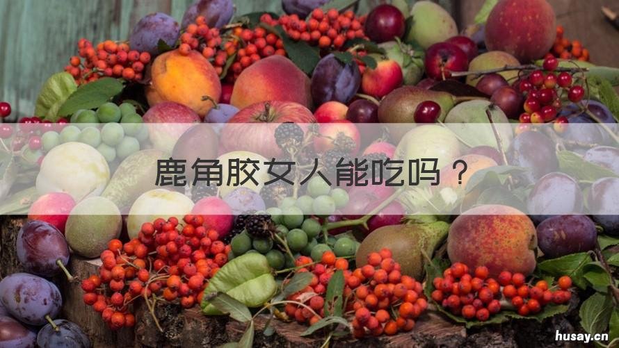 鹿角胶女人能吃吗 鹿角胶女人能吃吗百度百科