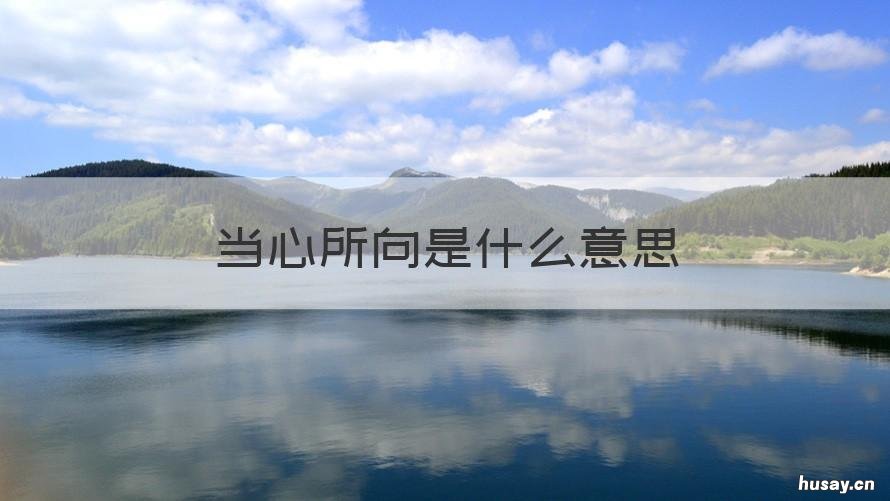 当心所向是什么意思 当心是什么意思?