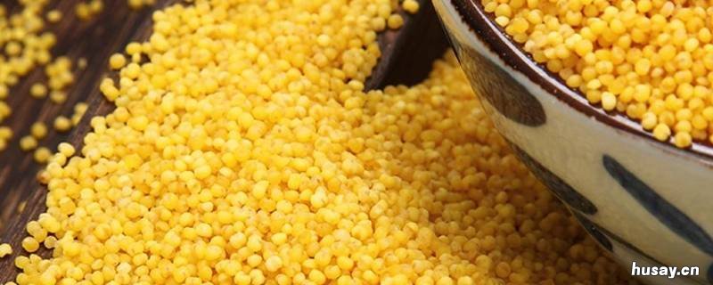 沁州黄小米产地在哪 沁州黄小米是什么品种