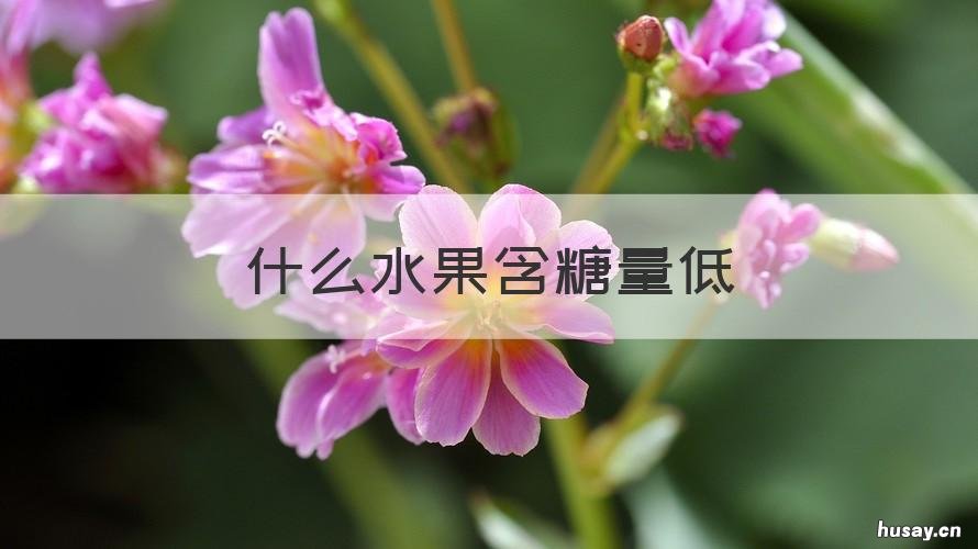 什么水果含糖量低 什么水果含糖量高