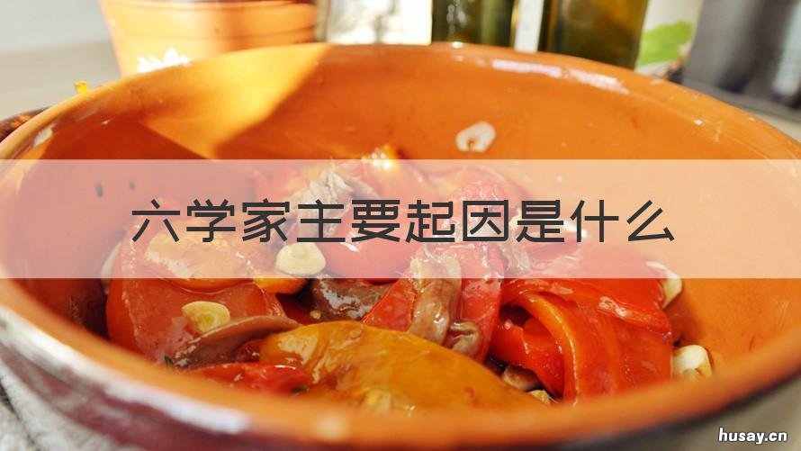 六学家主要起因是什么 六家学派的代表人物