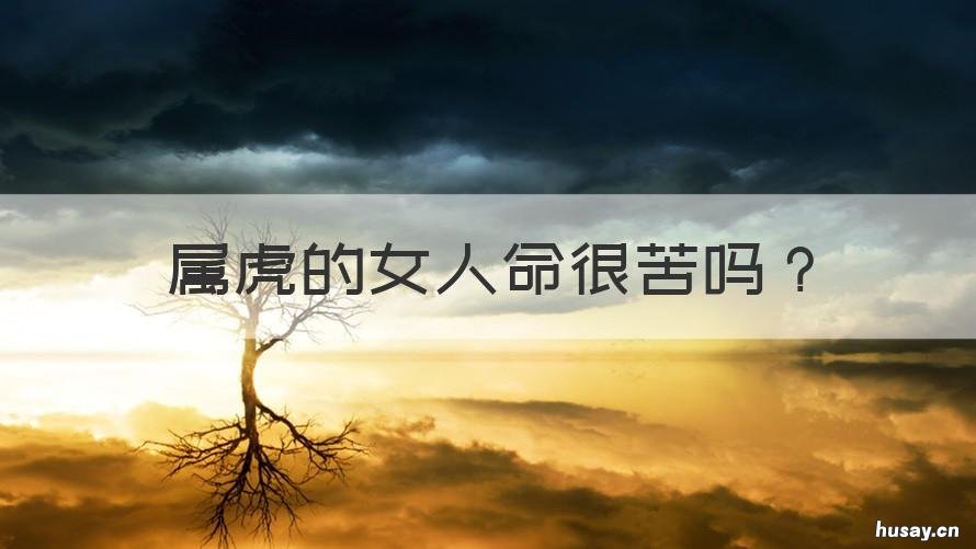 属虎的女人命很苦吗 属虎的女人命苦吗?