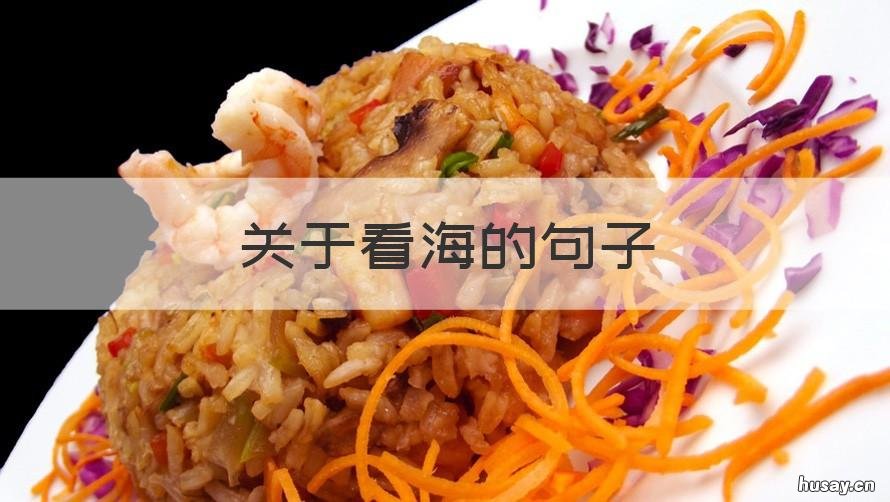 关于看海的句子 形容看海的句子