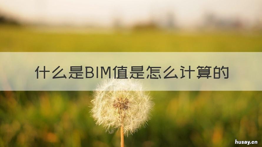 什么是BIM值是怎么计算的 BIM是怎么算的
