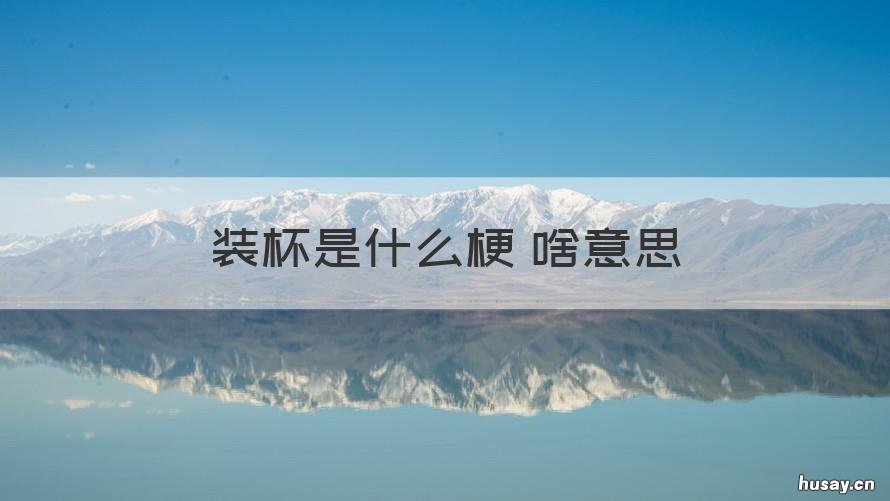 装杯是什么梗 啥意思