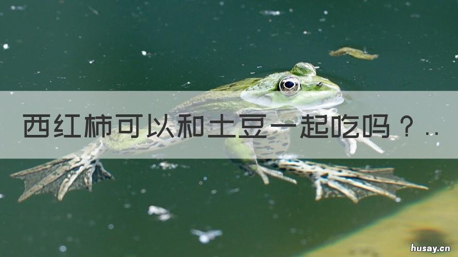 西红柿可以和土豆一起吃吗 西红柿能不能和土豆一起吃