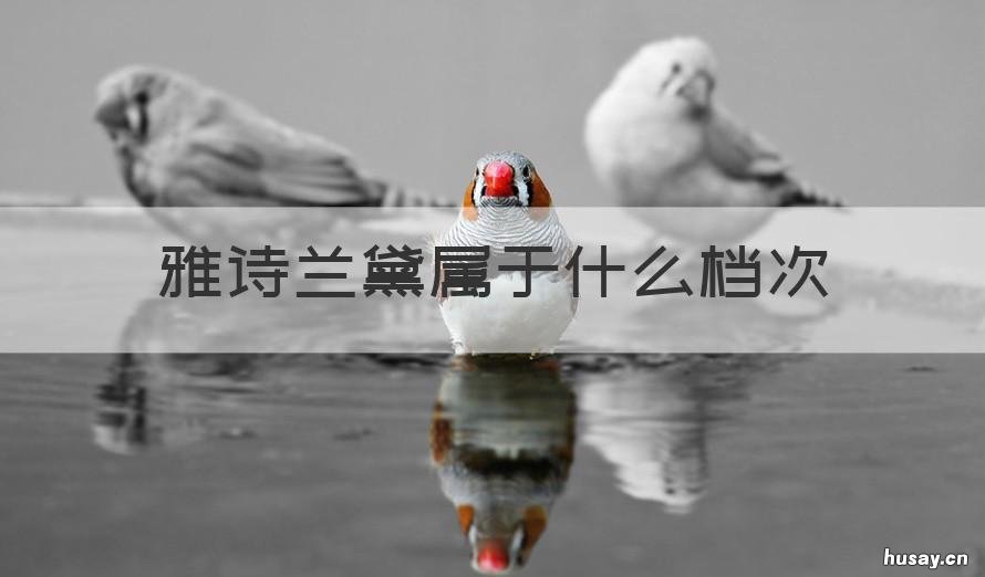 雅诗兰黛属于什么档次 雅诗兰黛属于什么档次的产品