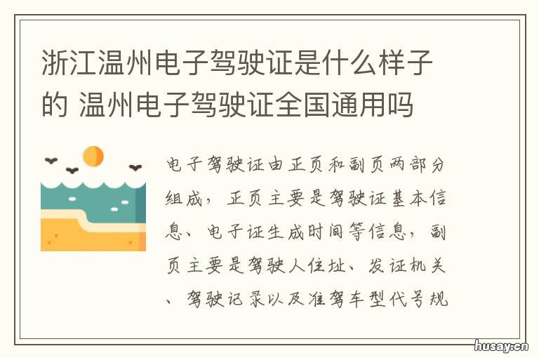 浙江温州电子驾驶证是什么样子的 电子驾驶证 温州