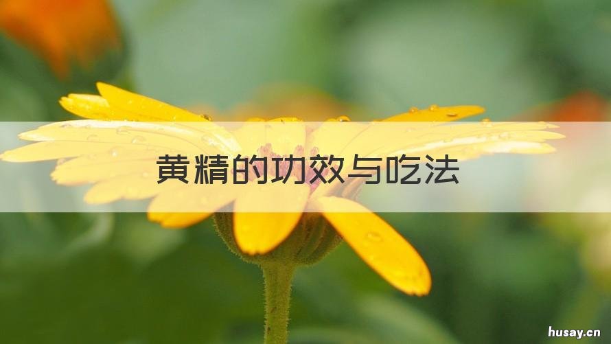 黄精的功效与吃法 黄精的功效与吃法禁忌