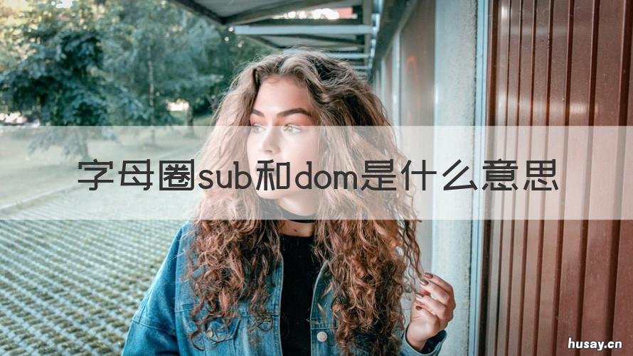 字母圈sub和dom是什么意思 字母圈sub和dom的意思