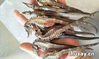 吃海马有什么忌口吗 吃海马有什么忌口吗会过敏吗