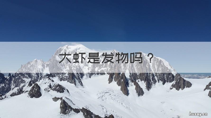 大虾是发物吗 虾类是发物吗