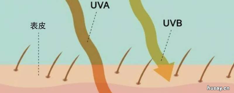 uvb是什么意思啊 Uvb是什么