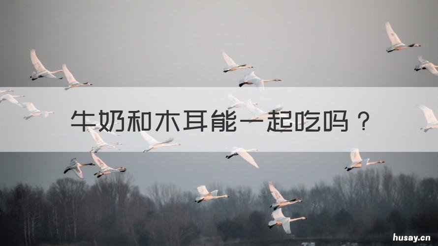 牛奶和木耳能一起吃吗 牛奶可以和木耳一起吃吗?