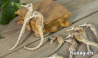 吃了海马不可以吃什么 什么情况下不能吃海马