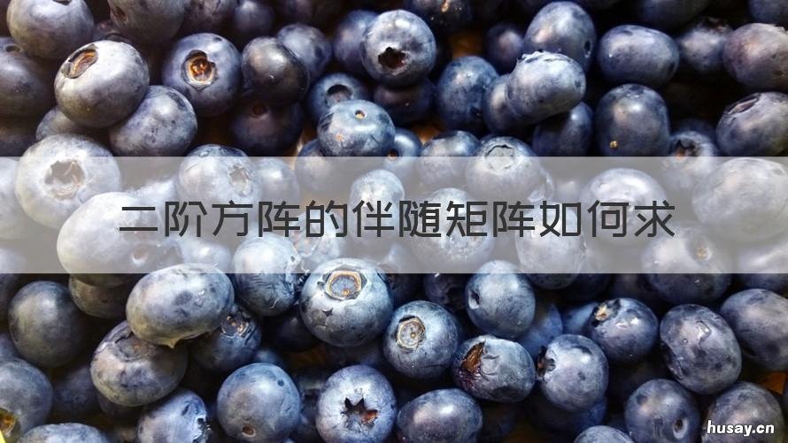 二阶方阵的伴随矩阵如何求 二阶方程的伴随矩阵