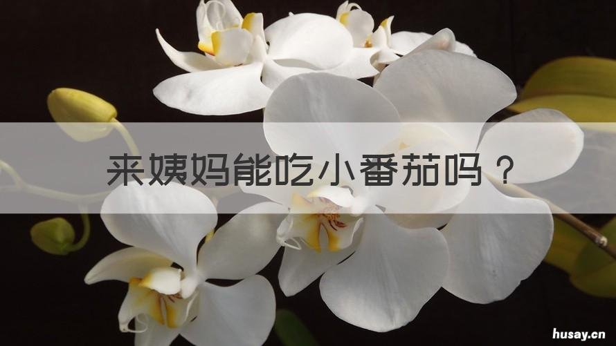 来姨妈能吃小番茄吗 来姨妈了可以吃小番茄吗