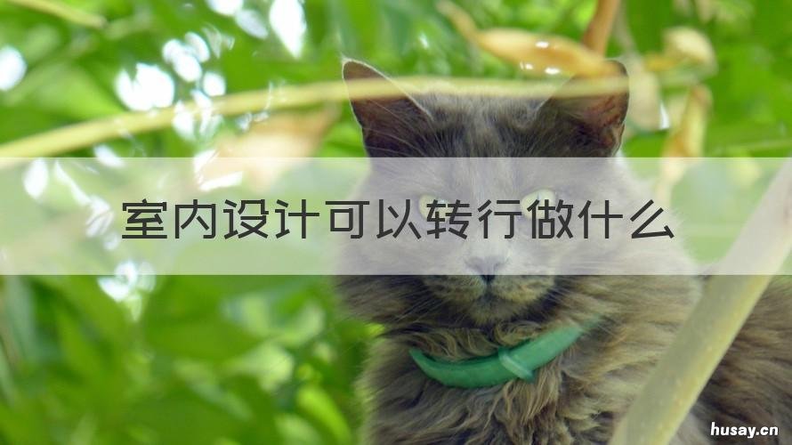 室内设计可以转行做什么 室内设计能转行做什么