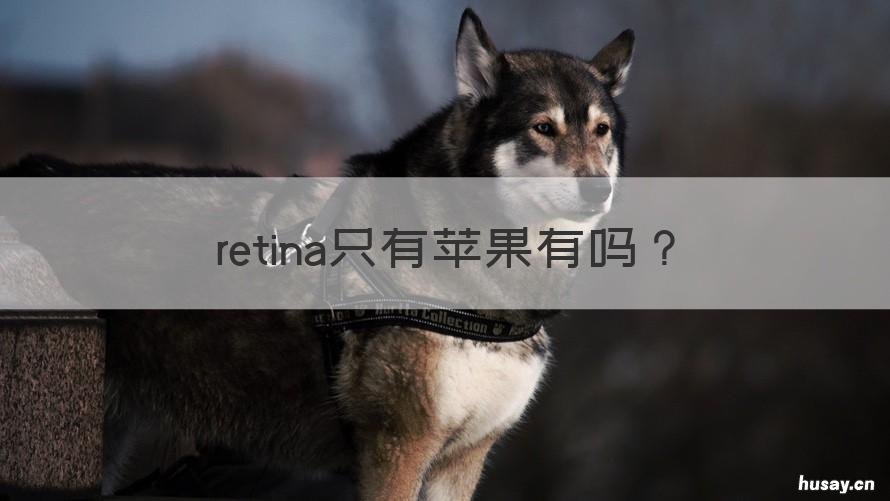 retina只有苹果有吗 苹果retina屏幕