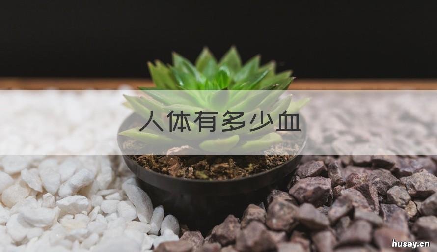 人体有多少血 人体有多少血量有多少升