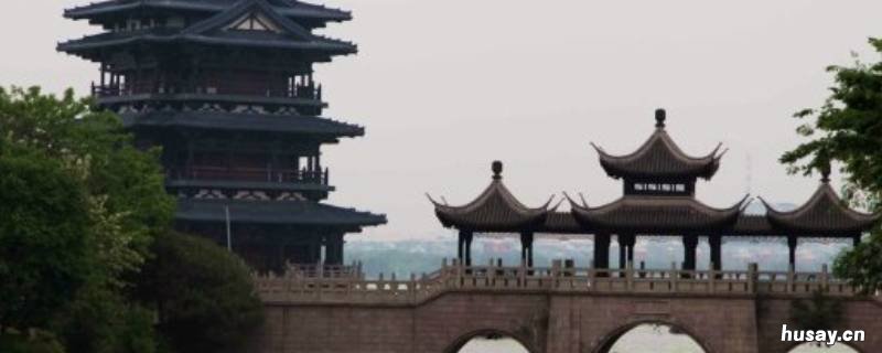 鲸市是哪个市 一条鲸鱼是哪个城市