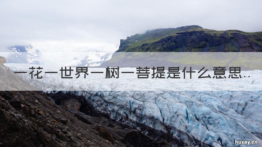 一花一世界一树一菩提是什么意思 一花世界一树一菩提是啥意思