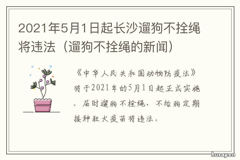 2021年5月1日起长沙遛狗不拴绳将违法 长沙遛狗时间规定