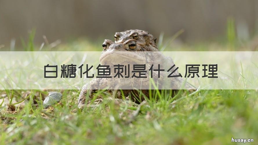 白糖化鱼刺是什么原理 白糖软化鱼刺的原理