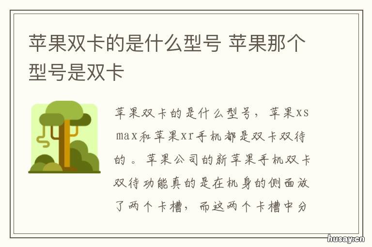 苹果双卡的是什么型号 苹果双卡的型号有哪些