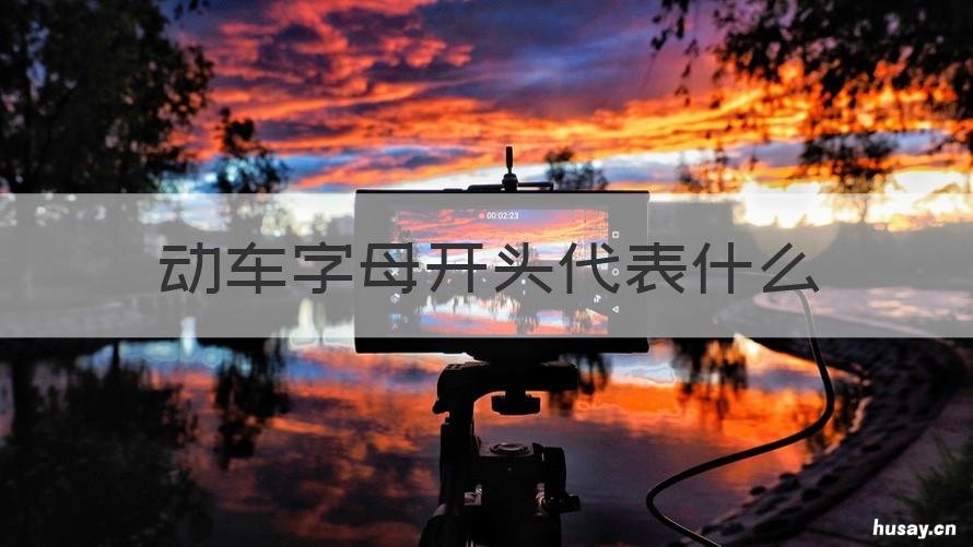动车字母开头代表什么 动车开头字母是啥