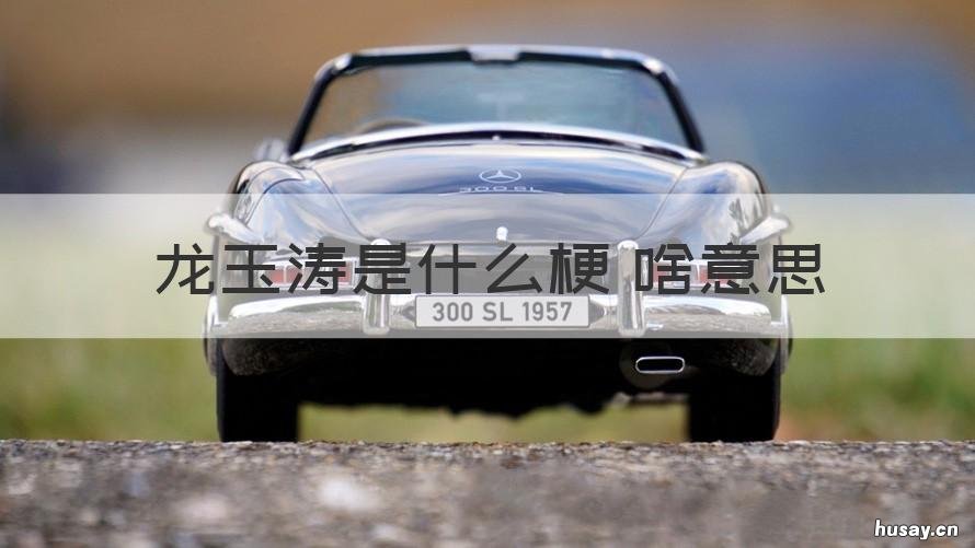 龙玉涛是什么梗 啥意思