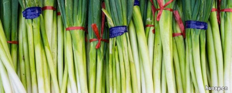 夏天大葱怎么储存不烂 夏天大葱怎么储存不烂皮