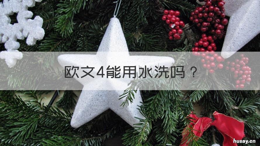 欧文4能用水洗吗 欧文6能不能用水刷洗
