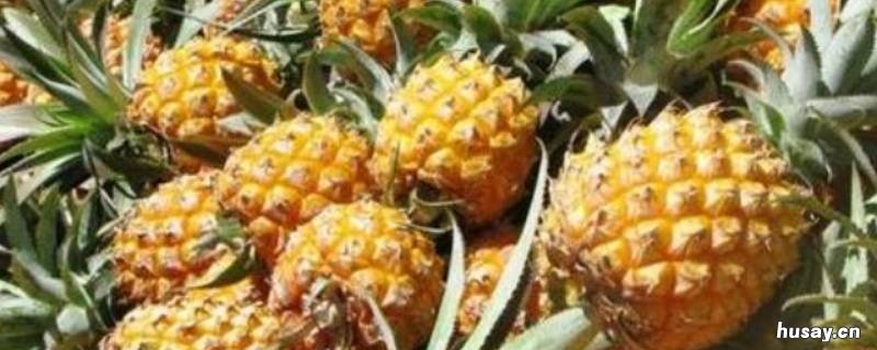 吃菠萝为什么要放盐 吃菠萝为什么要放盐芭芭农场
