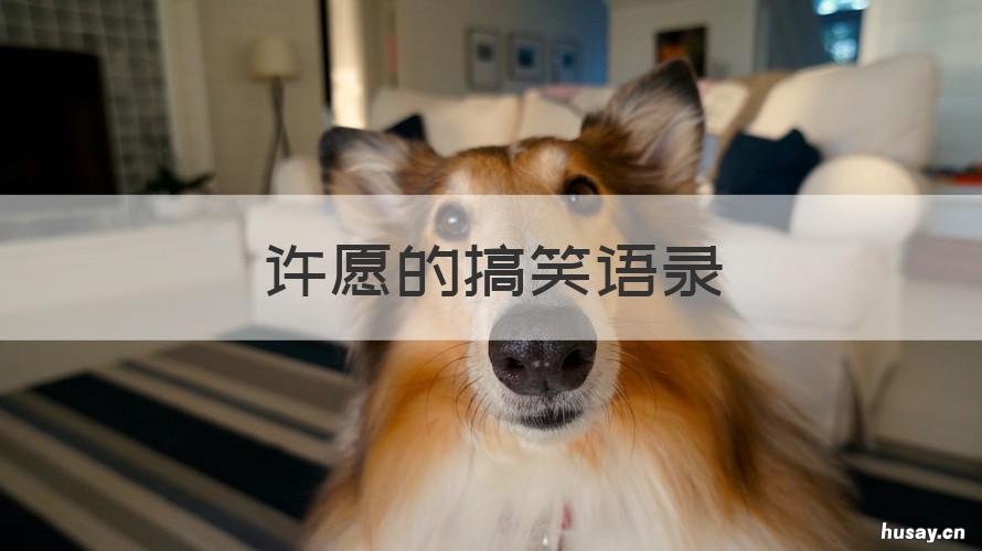 许愿的搞笑语录 许愿的搞笑说说