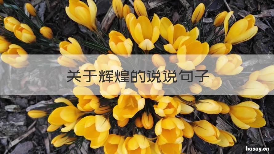 关于辉煌的说说句子 关于辉煌的说说句子大全