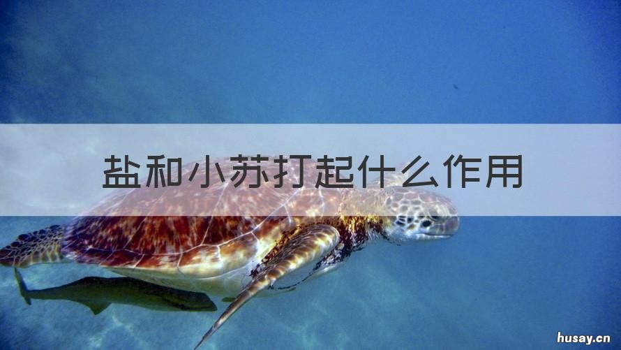 盐和小苏打起什么作用 食盐和小苏打有什么作用