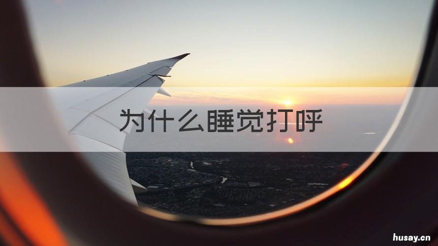 为什么睡觉打呼 为什么睡觉打呼噜吹气