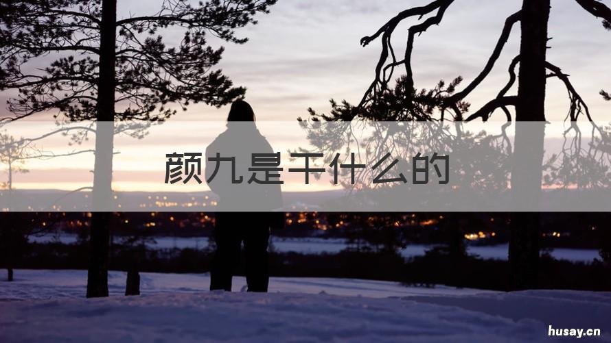 颜九是干什么的 颜九为什么突然就不火了