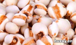 湿气重吃什么食物最好 寒气湿气重吃什么食物最好