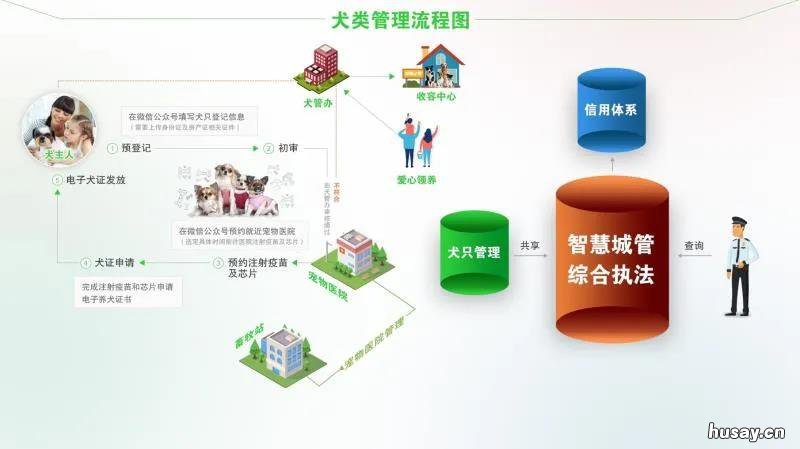 温州龙港市犬类电子狗证办理流程及地点 温州养犬登记网