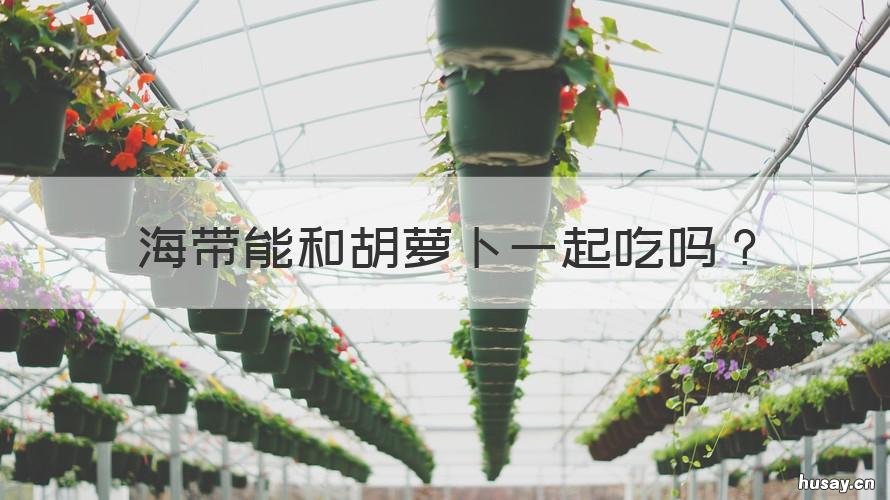 海带能和胡萝卜一起吃吗