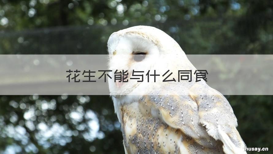 花生不能与什么同食