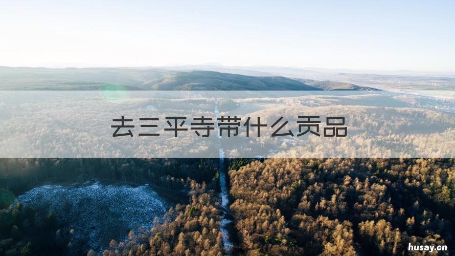 去三平寺带什么贡品 去三平寺带什么贡品比较好