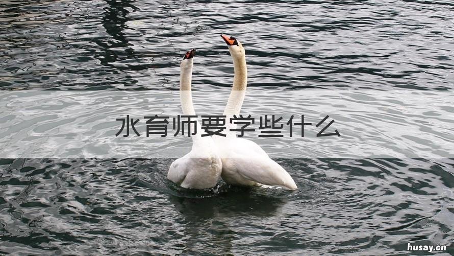 水育师要学些什么 水育师好干吗