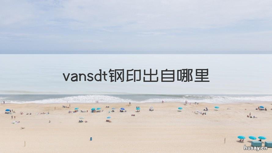 vansdt钢印出自哪里 vansDT钢印