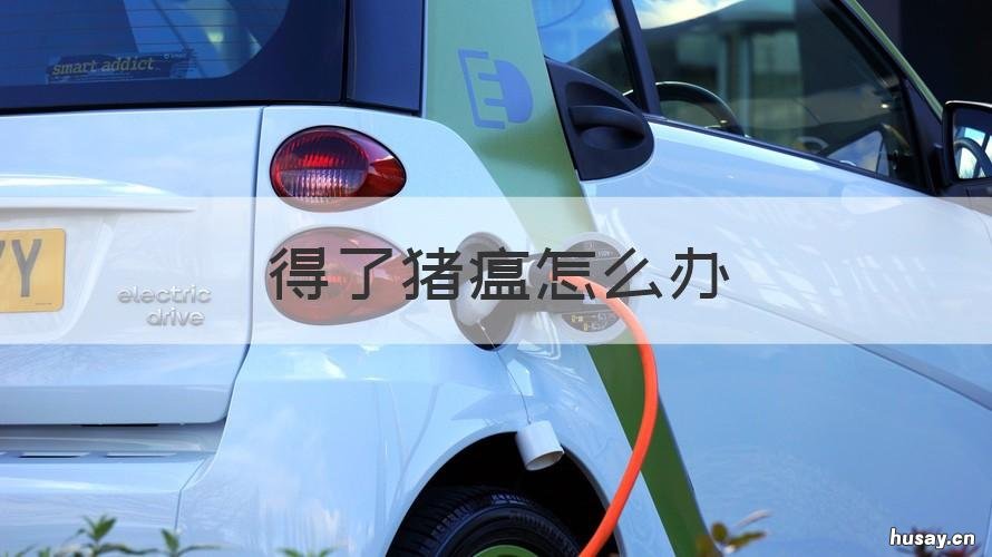 得了猪瘟怎么办 得了猪瘟怎么办?