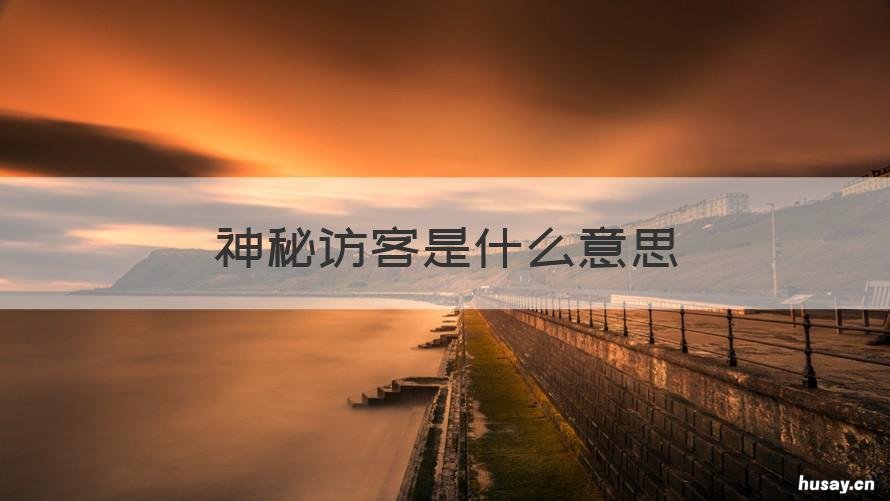 神秘访客是什么意思 神秘访客 没看懂